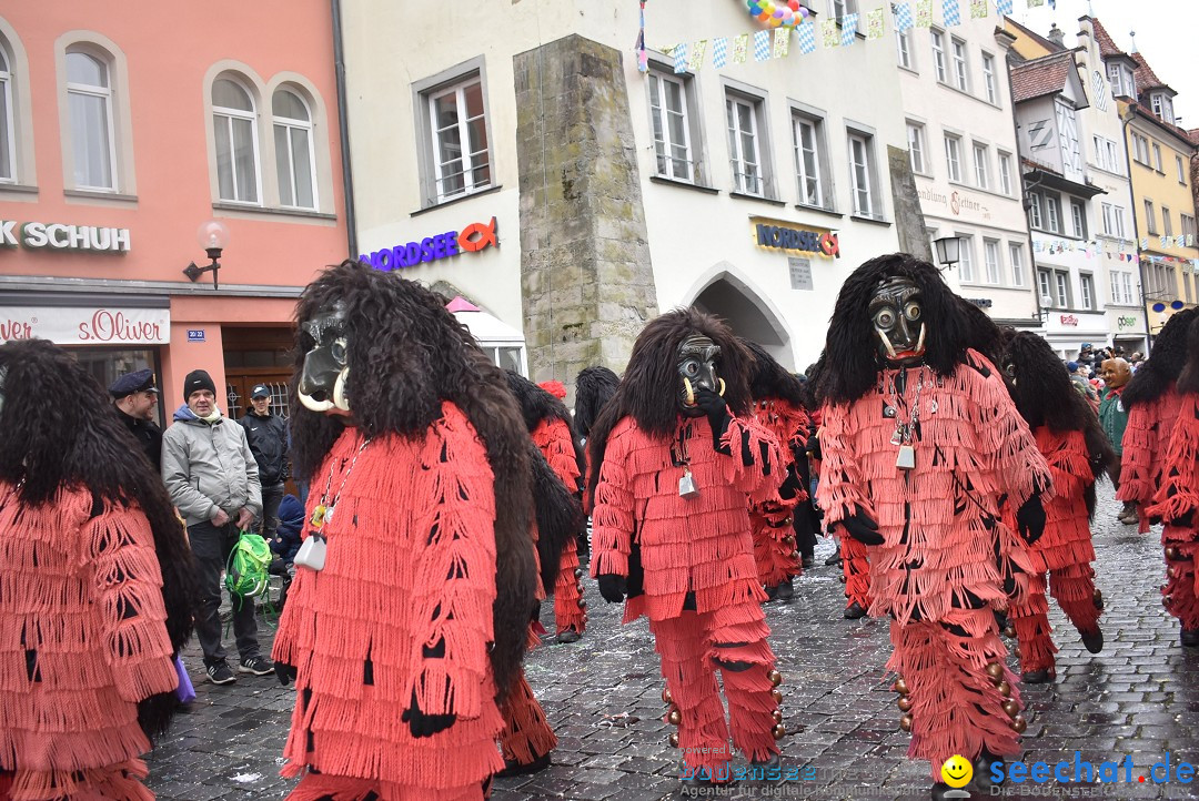 Fasnetsumzug - Narrensprung: Lindau am Bodensee, 11.02.2018