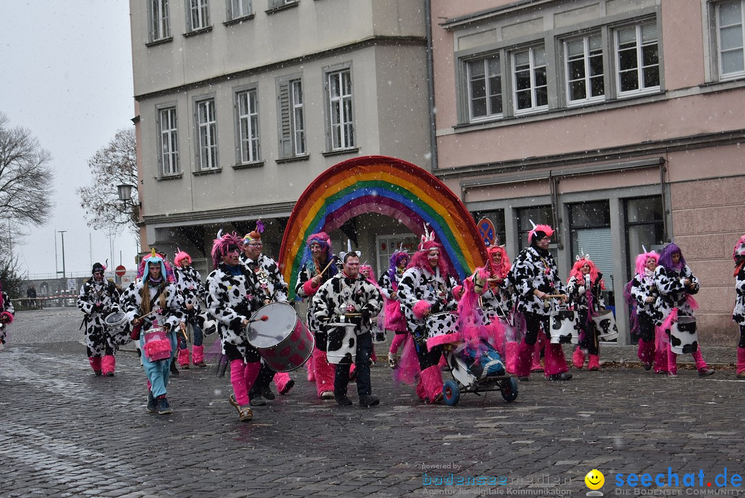 Fasnetsumzug - Narrensprung: Lindau am Bodensee, 11.02.2018