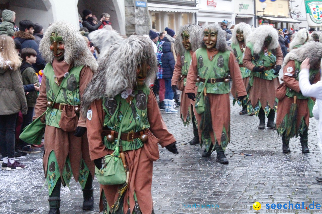 Fasnetsumzug - Narrensprung: Lindau am Bodensee, 11.02.2018