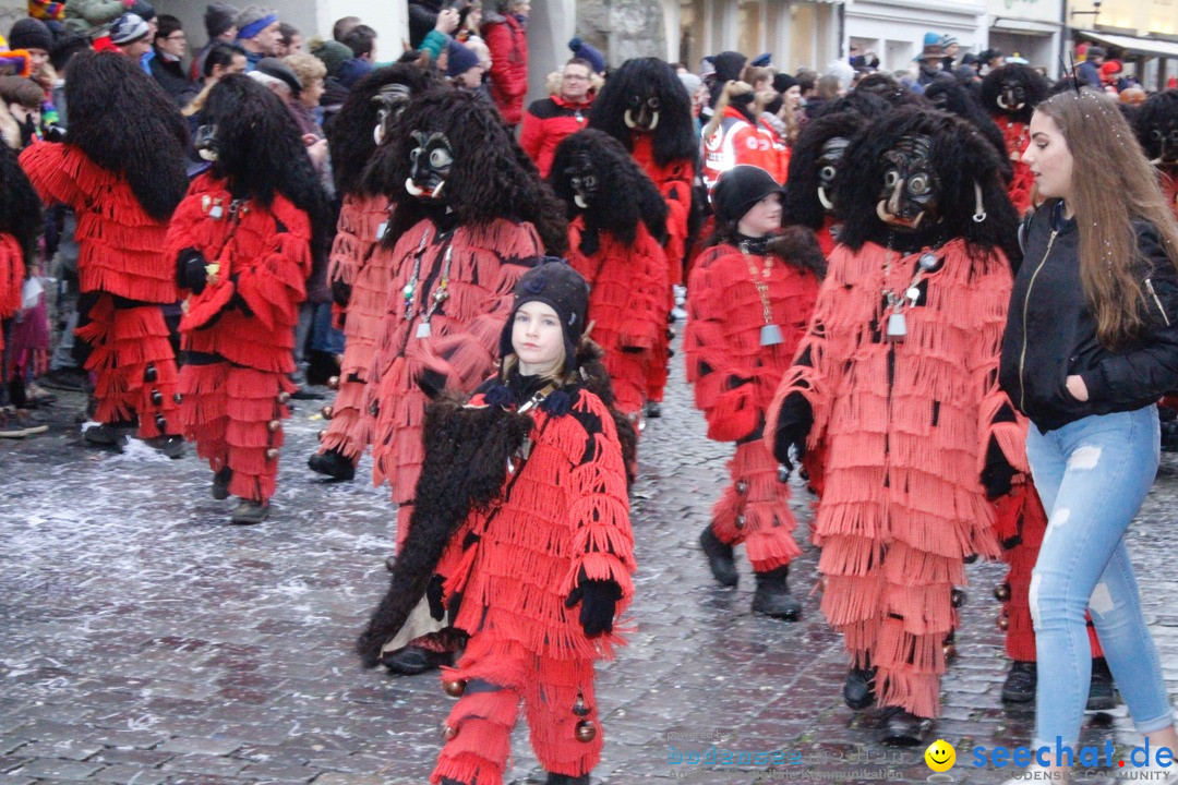 Fasnetsumzug - Narrensprung: Lindau am Bodensee, 11.02.2018