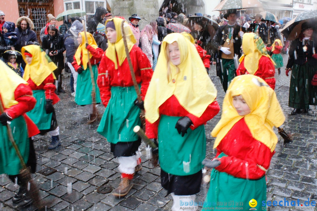 Fasnetsumzug - Narrensprung: Lindau am Bodensee, 11.02.2018