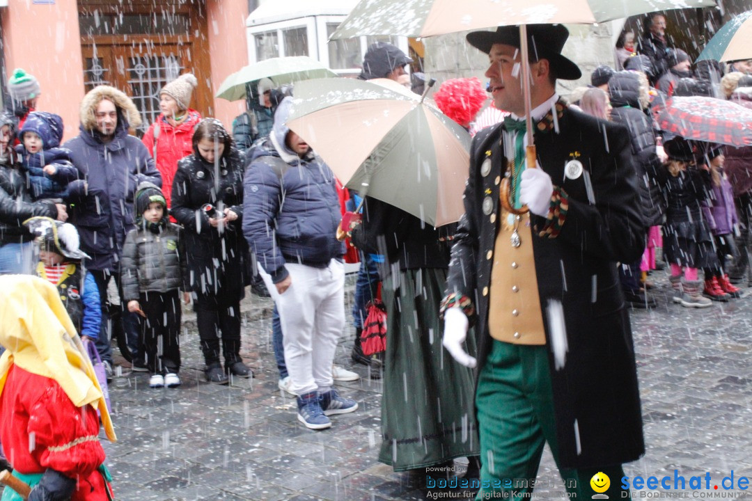 Fasnetsumzug - Narrensprung: Lindau am Bodensee, 11.02.2018