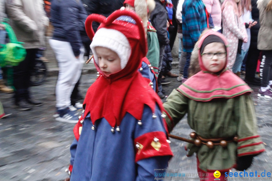 Fasnetsumzug - Narrensprung: Lindau am Bodensee, 11.02.2018