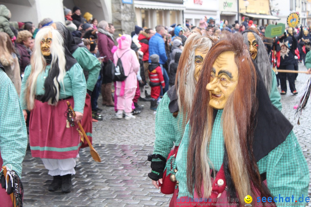 Fasnetsumzug - Narrensprung: Lindau am Bodensee, 11.02.2018