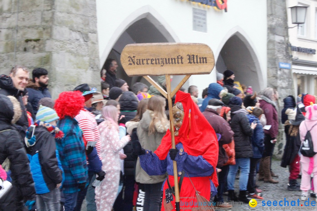 Fasnetsumzug - Narrensprung: Lindau am Bodensee, 11.02.2018