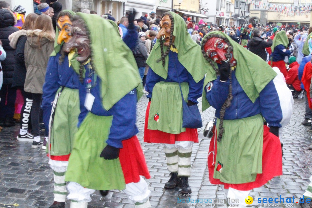 Fasnetsumzug - Narrensprung: Lindau am Bodensee, 11.02.2018