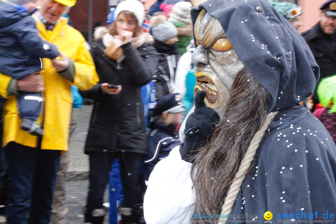 Fasnetsumzug - Narrensprung: Lindau am Bodensee, 11.02.2018