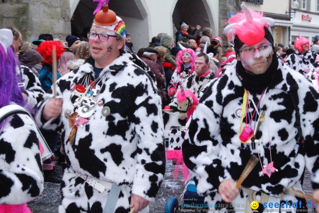 Fasnetsumzug - Narrensprung: Lindau am Bodensee, 11.02.2018