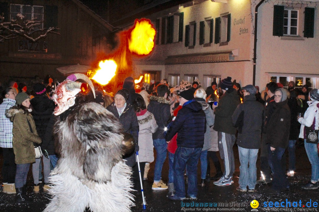 Nachtumzug - Bassersdorf in der Schweiz, 12.02.2018