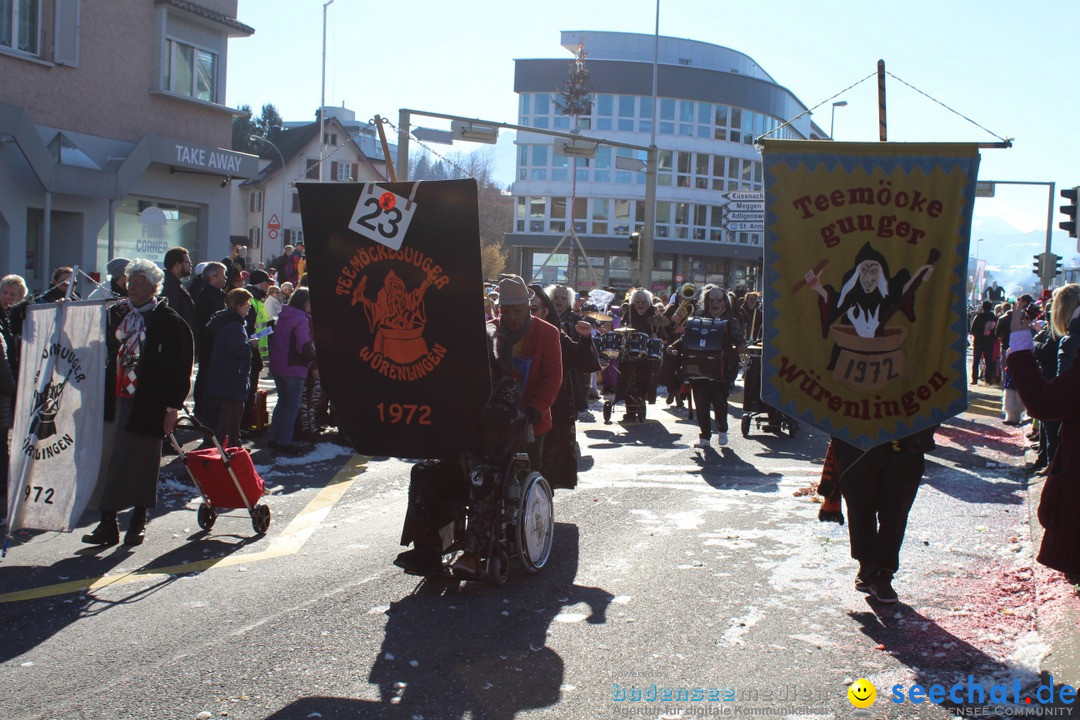 Fasnachtsumzug: Ebikon - Schweiz, 13.02.2018