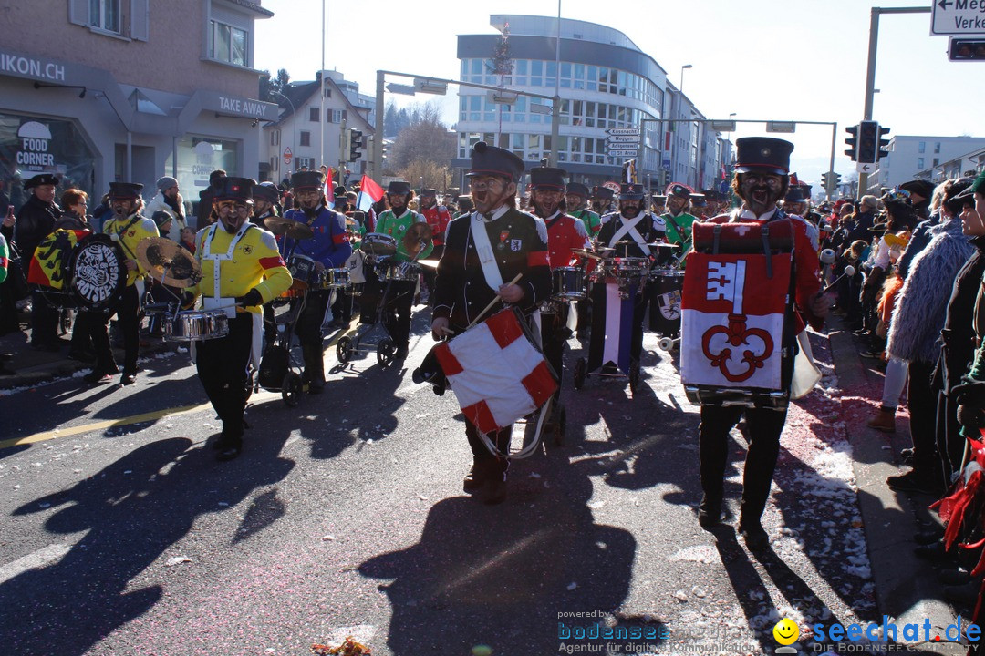 Fasnachtsumzug: Ebikon - Schweiz, 13.02.2018