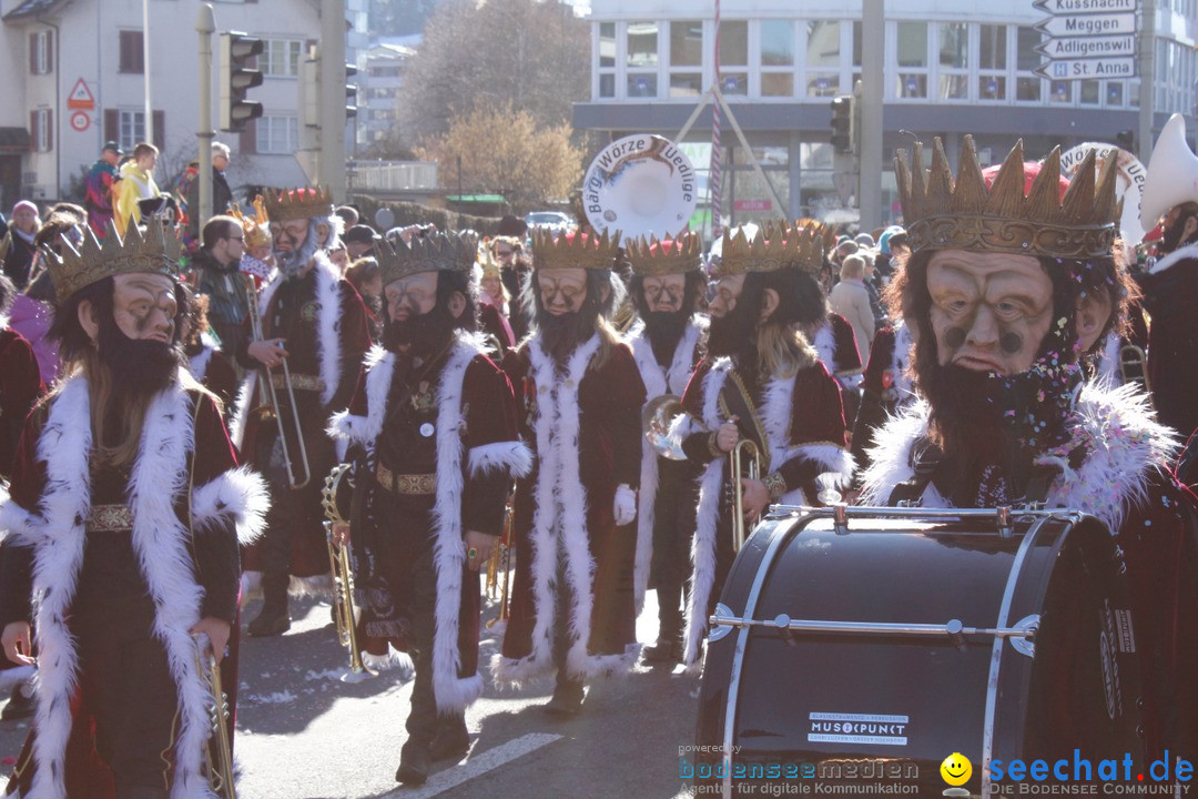 Fasnachtsumzug: Ebikon - Schweiz, 13.02.2018