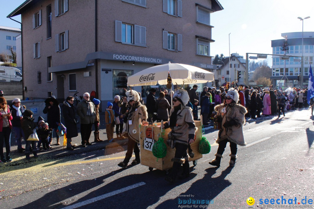 Fasnachtsumzug: Ebikon - Schweiz, 13.02.2018