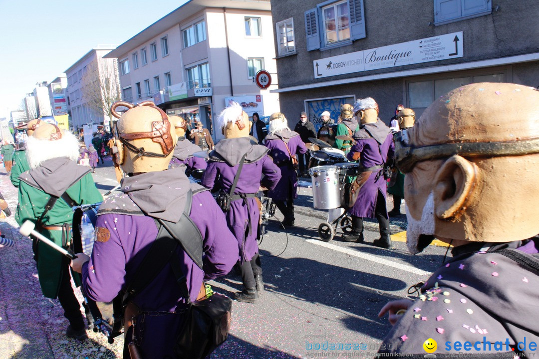 Fasnachtsumzug: Ebikon - Schweiz, 13.02.2018