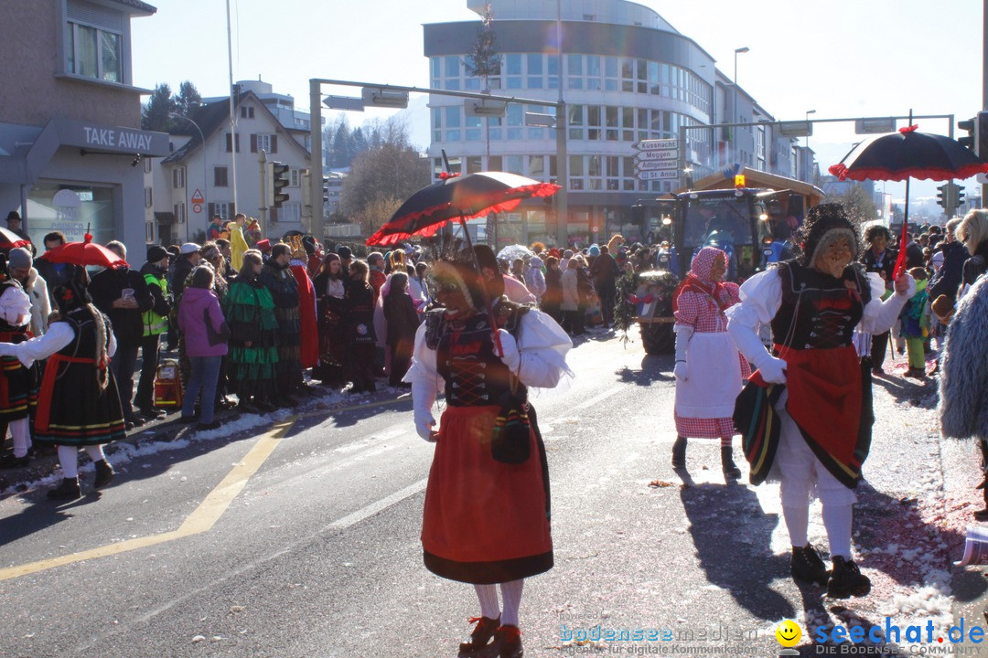 Fasnachtsumzug: Ebikon - Schweiz, 13.02.2018