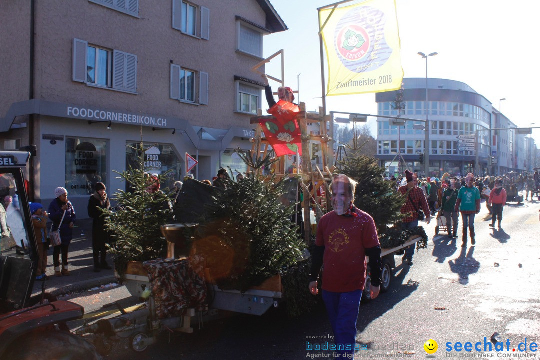 Fasnachtsumzug: Ebikon - Schweiz, 13.02.2018