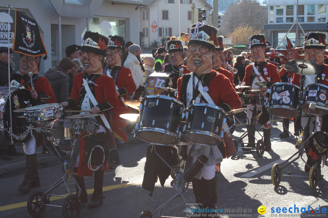 Fasnachtsumzug: Ebikon - Schweiz, 13.02.2018