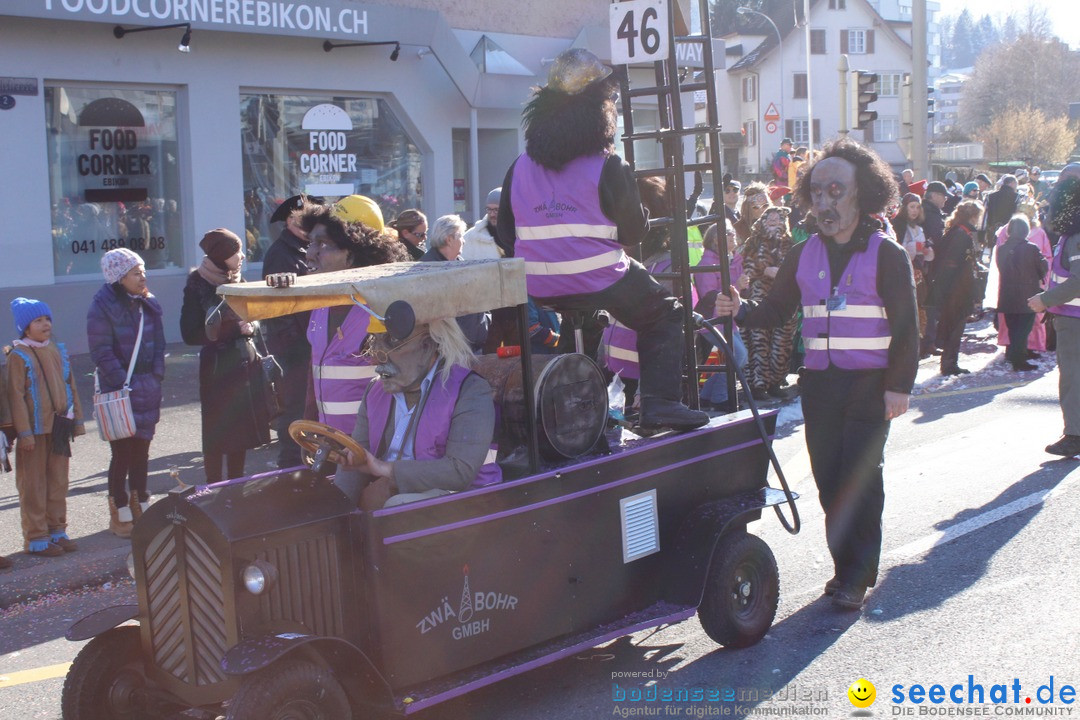 Fasnachtsumzug: Ebikon - Schweiz, 13.02.2018