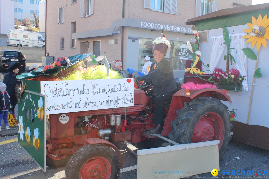 Fasnachtsumzug: Ebikon - Schweiz, 13.02.2018