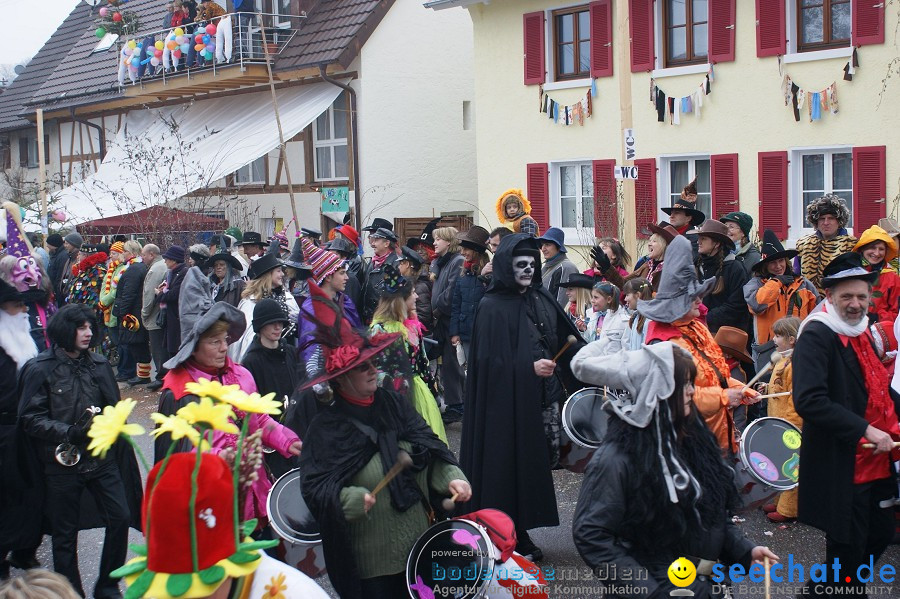 Umzug Seenarrentreffen: Liggeringen, 07.02.2010