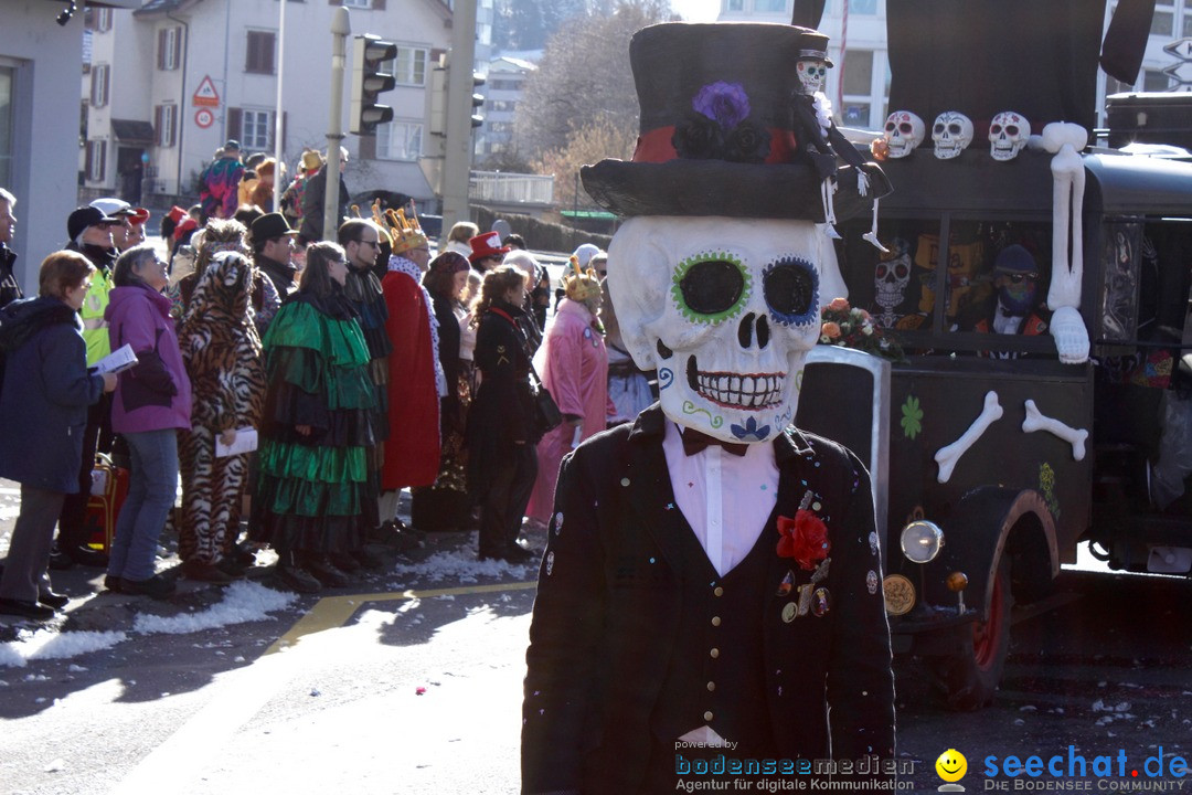 Fasnachtsumzug: Ebikon - Schweiz, 13.02.2018