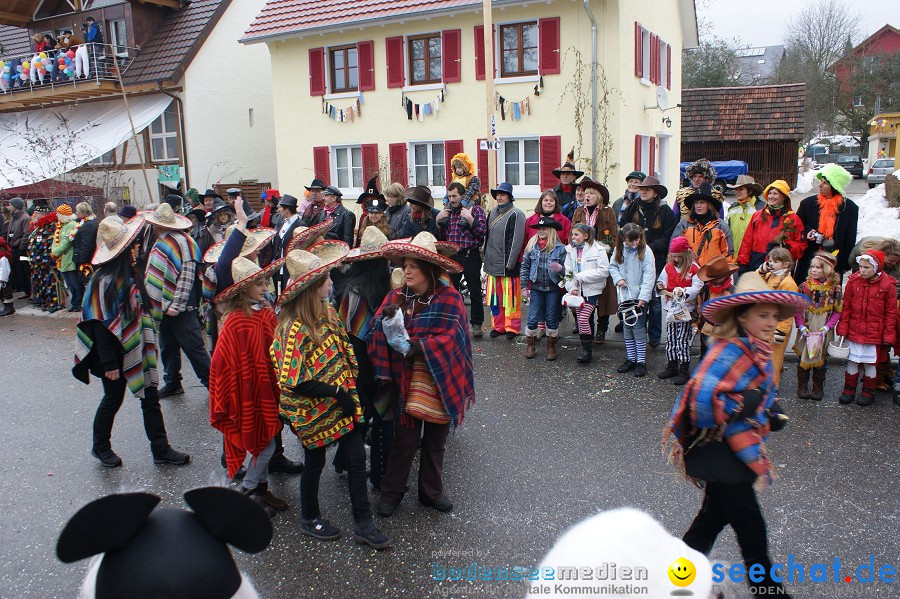 Umzug Seenarrentreffen: Liggeringen, 07.02.2010