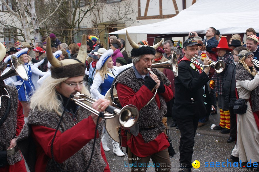 Umzug Seenarrentreffen: Liggeringen, 07.02.2010