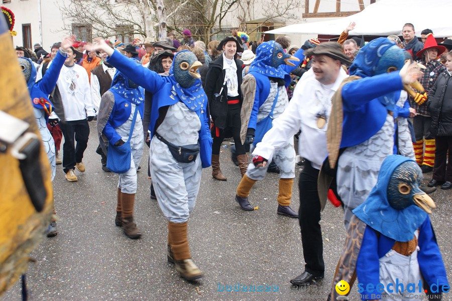 Umzug Seenarrentreffen: Liggeringen, 07.02.2010