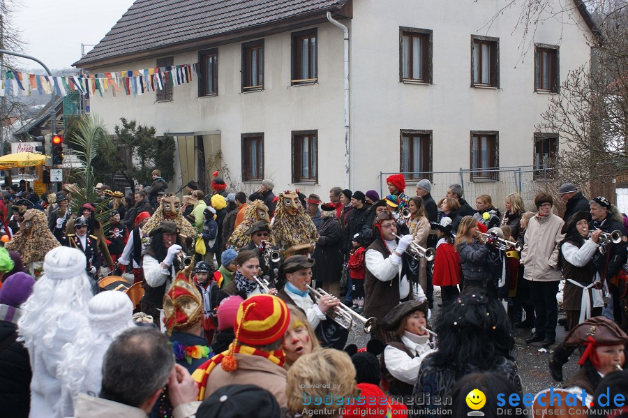 Umzug Seenarrentreffen: Liggeringen, 07.02.2010