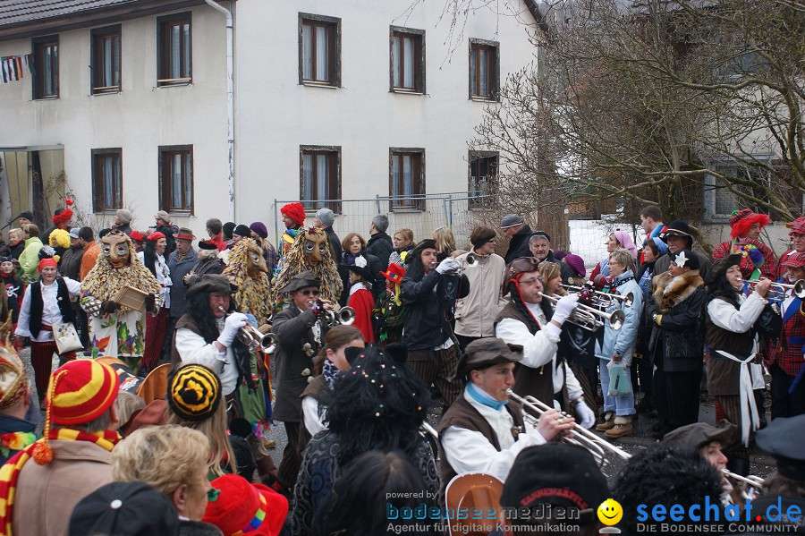 Umzug Seenarrentreffen: Liggeringen, 07.02.2010