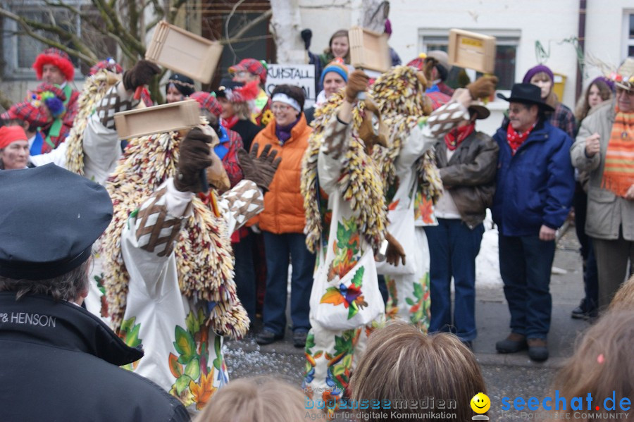 Umzug Seenarrentreffen: Liggeringen, 07.02.2010