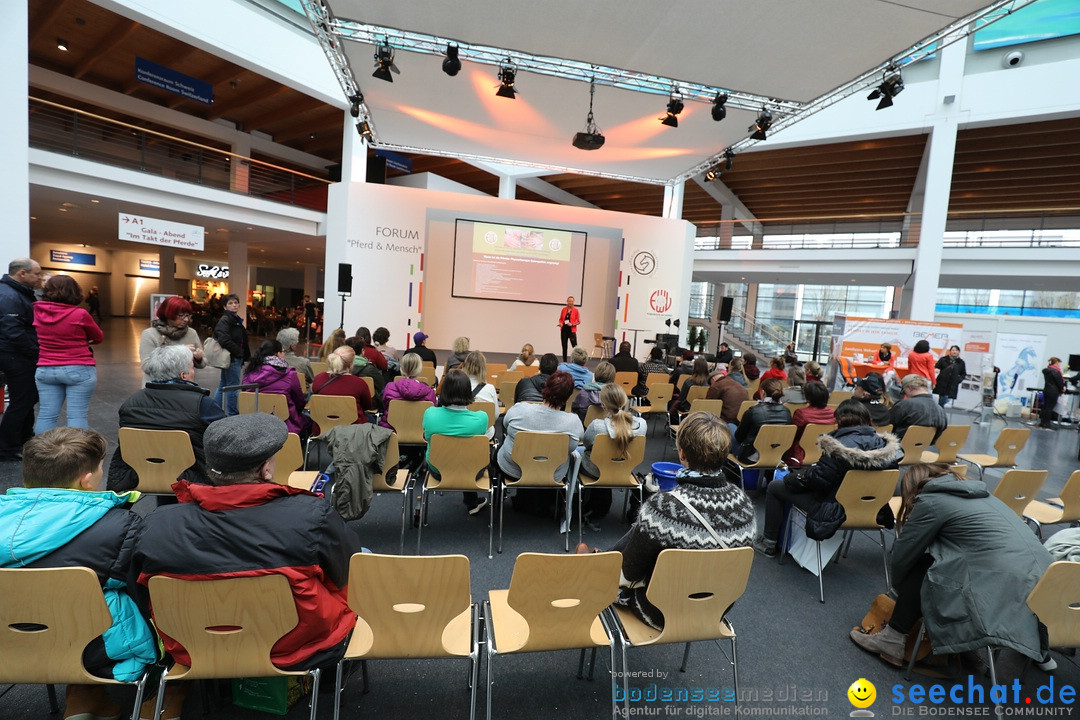 PFERD BODENSEE: Friedrichshafen am Bodensee, 17.02.2018