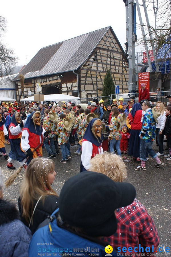 Umzug Seenarrentreffen: Liggeringen, 07.02.2010