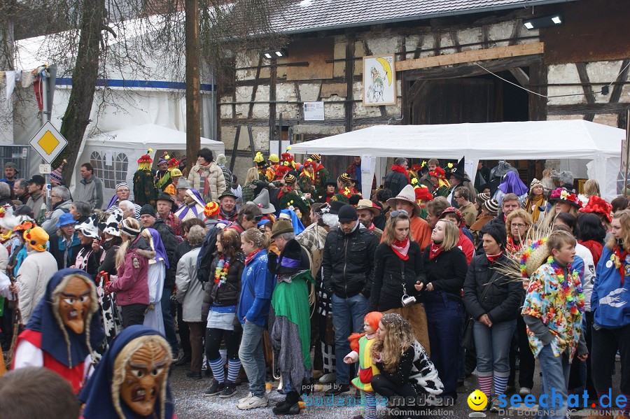 Umzug Seenarrentreffen: Liggeringen, 07.02.2010