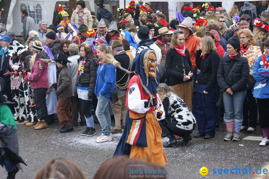 Umzug Seenarrentreffen: Liggeringen, 07.02.2010