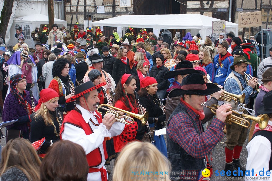 Umzug Seenarrentreffen: Liggeringen, 07.02.2010