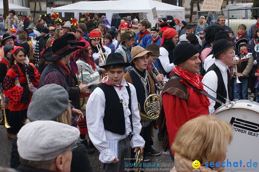 Umzug Seenarrentreffen: Liggeringen, 07.02.2010