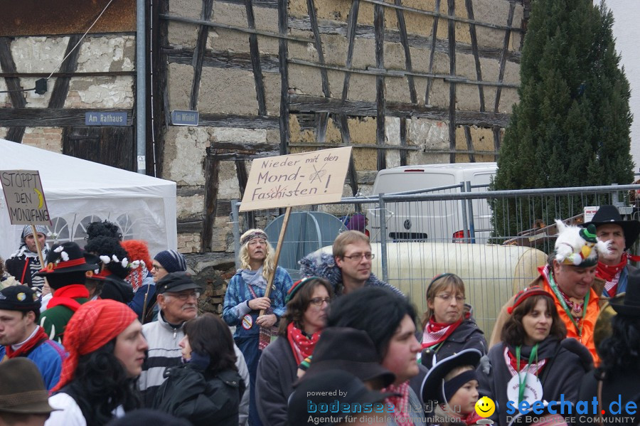 Umzug Seenarrentreffen: Liggeringen, 07.02.2010