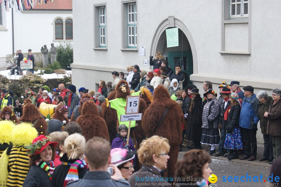 Umzug Seenarrentreffen: Liggeringen, 07.02.2010