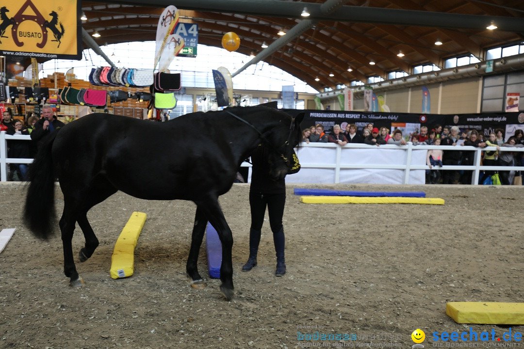 PFERD BODENSEE: Friedrichshafen am Bodensee, 17.02.2018