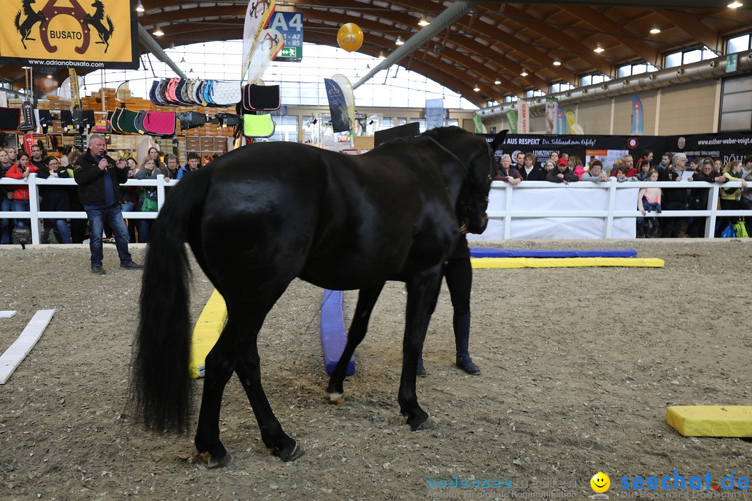 PFERD BODENSEE: Friedrichshafen am Bodensee, 17.02.2018