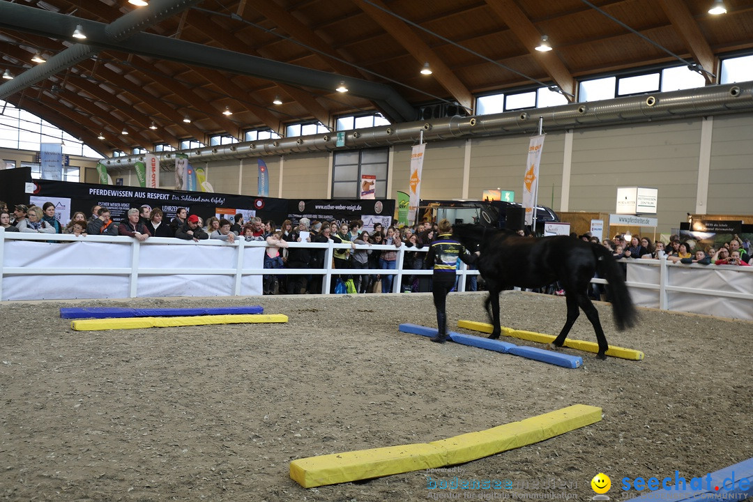 PFERD BODENSEE: Friedrichshafen am Bodensee, 17.02.2018