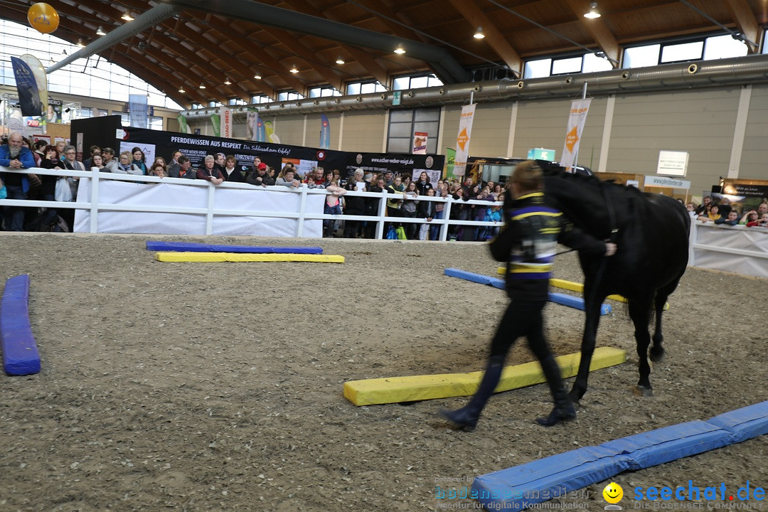 PFERD BODENSEE: Friedrichshafen am Bodensee, 17.02.2018