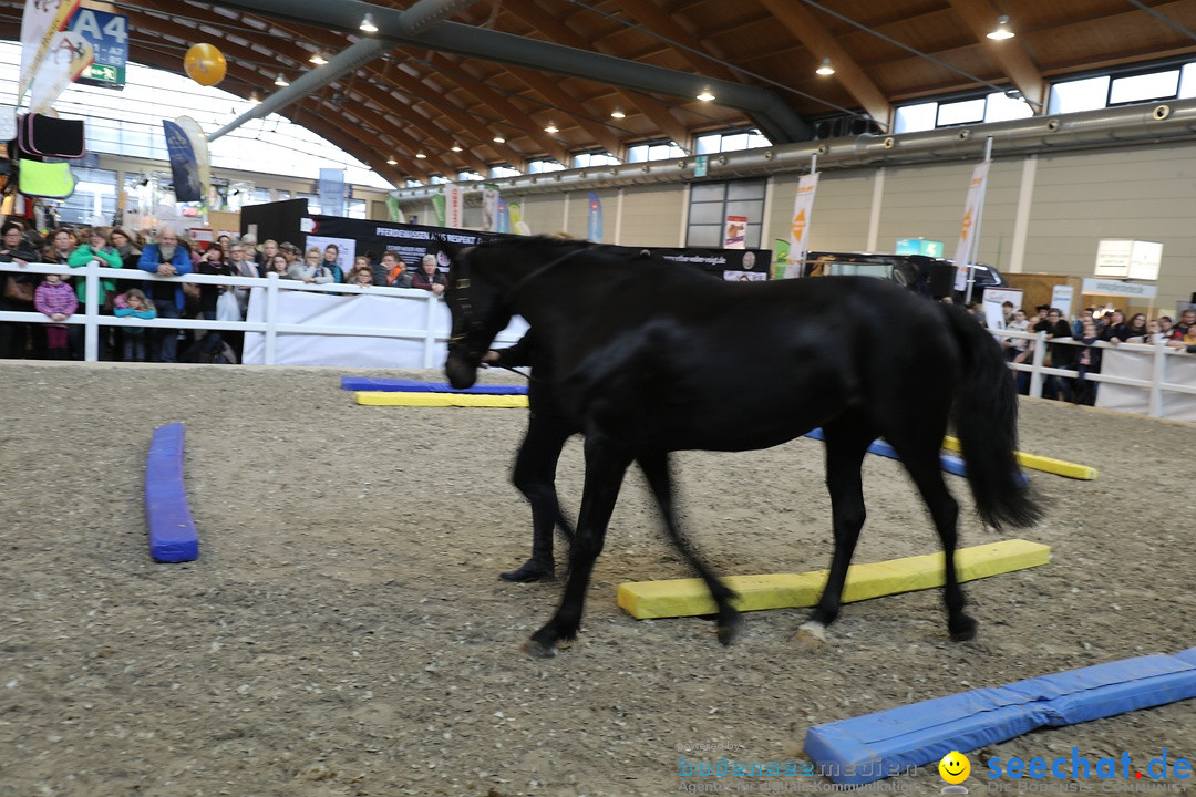 PFERD BODENSEE: Friedrichshafen am Bodensee, 17.02.2018