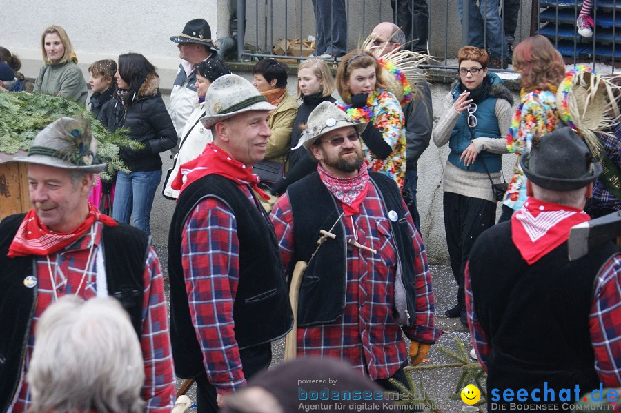 Umzug Seenarrentreffen: Liggeringen, 07.02.2010