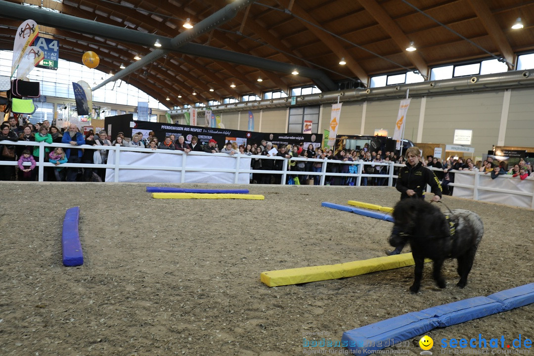 PFERD BODENSEE: Friedrichshafen am Bodensee, 17.02.2018