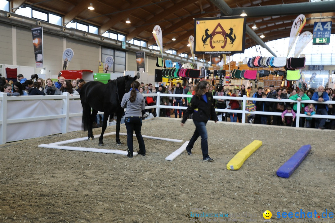 PFERD BODENSEE: Friedrichshafen am Bodensee, 17.02.2018