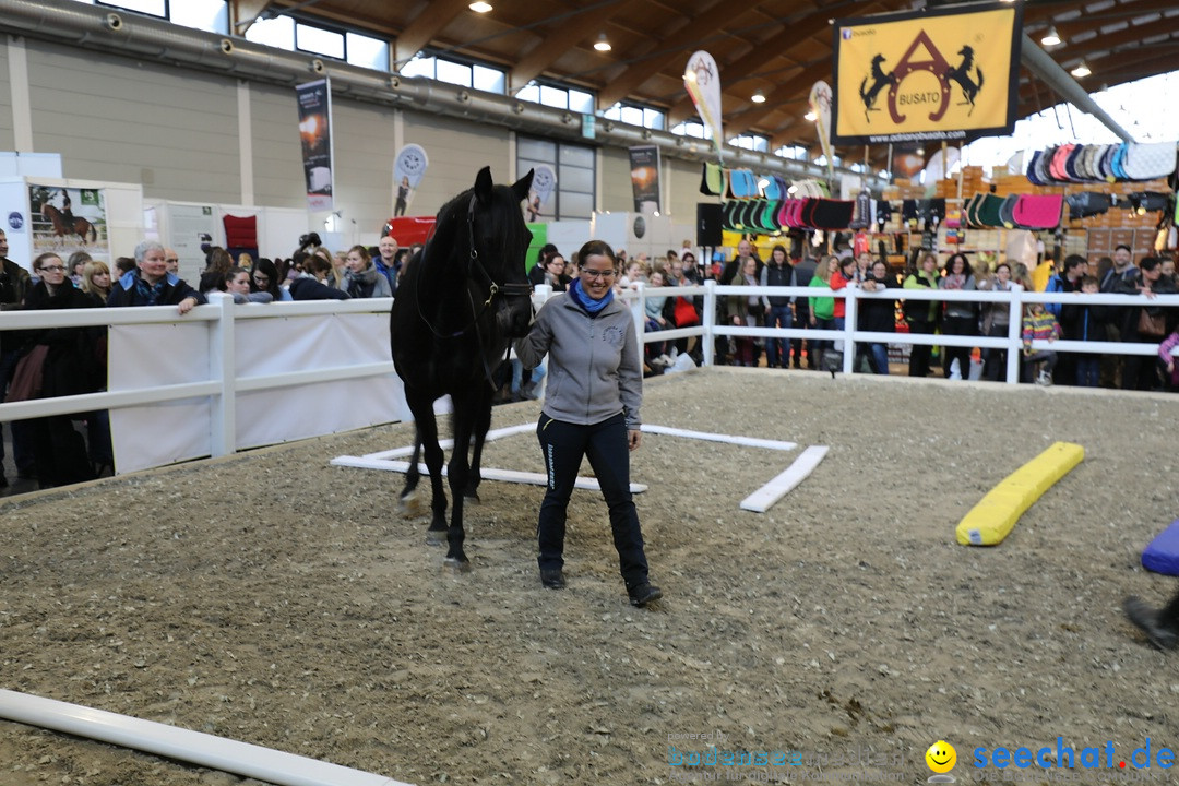 PFERD BODENSEE: Friedrichshafen am Bodensee, 17.02.2018