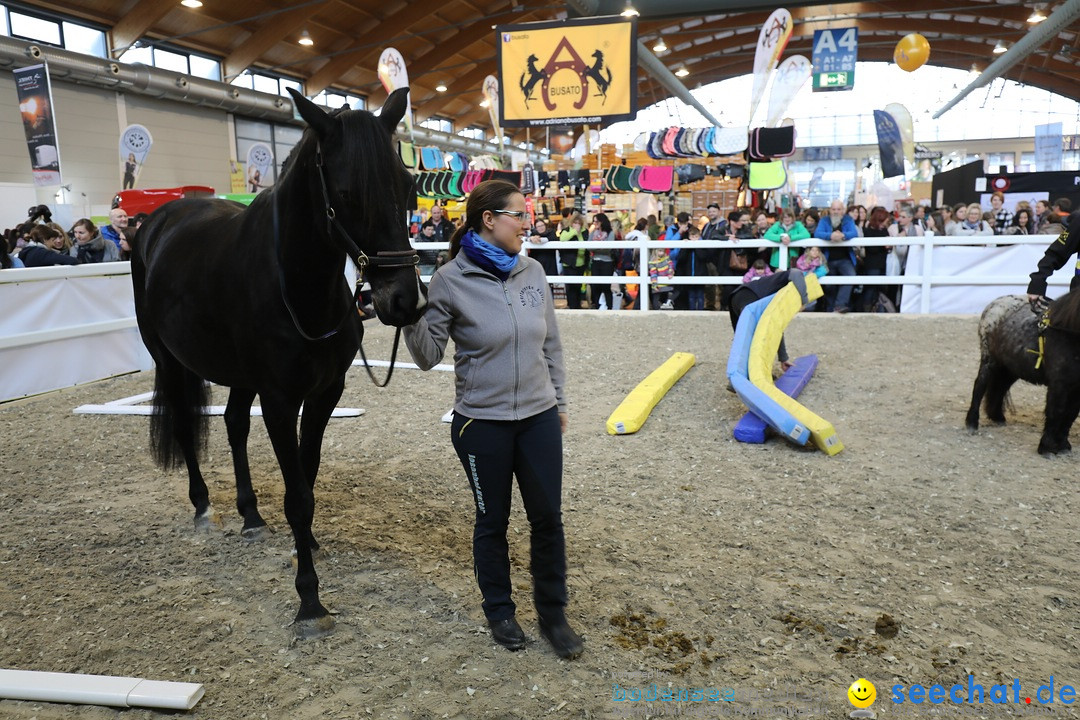 PFERD BODENSEE: Friedrichshafen am Bodensee, 17.02.2018