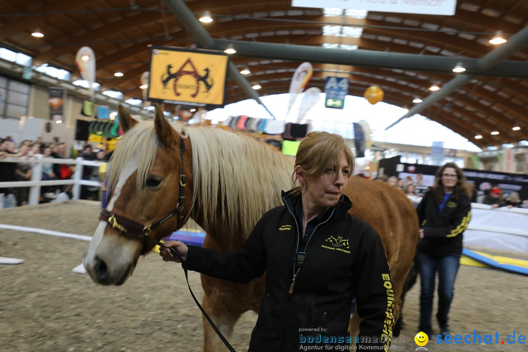 PFERD BODENSEE: Friedrichshafen am Bodensee, 17.02.2018